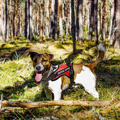 ARNÉS PARA PERROS ANTI TIRONES - PASEOS SIN ESTRÉS NI TIRONES INCÓMODOS