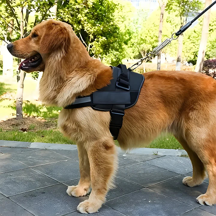 ARNÉS PARA PERROS ANTI TIRONES - PASEOS SIN ESTRÉS NI TIRONES INCÓMODOS