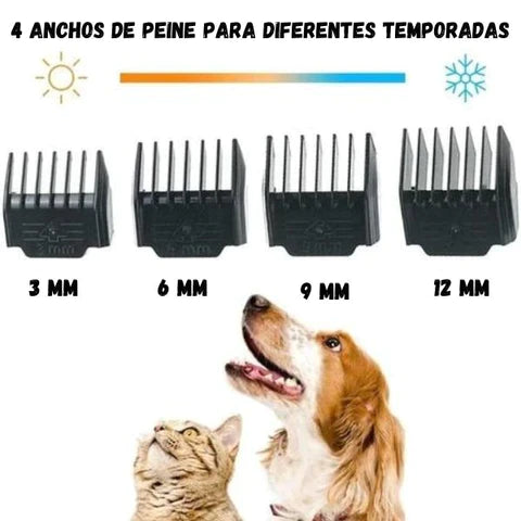 KIT DE PELUQUERIA CANINA